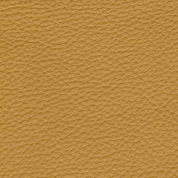 Sierra-2013 mustard
